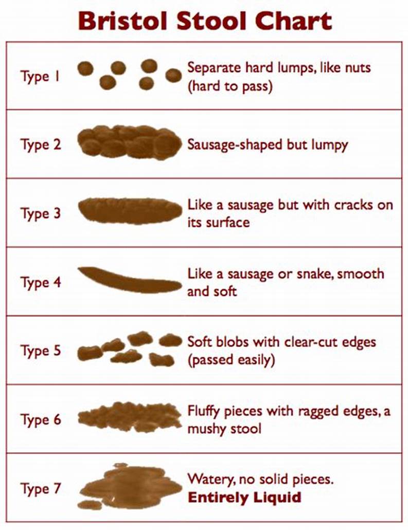 Assessments Bristol Stool Chart UBMS Medical School
